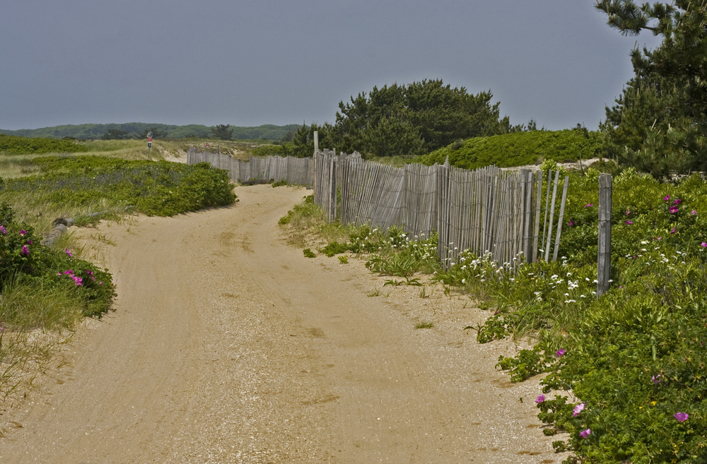 Nantucket Honeymoon Guide: Beaches, History, Shopping, and Seafood 7 How To Honeymoon