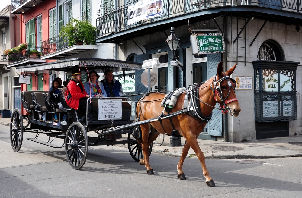 Voodoo, Romance, and Culture: Planning an Unforgettable New Orleans Honeymoon 3 How To Honeymoon
