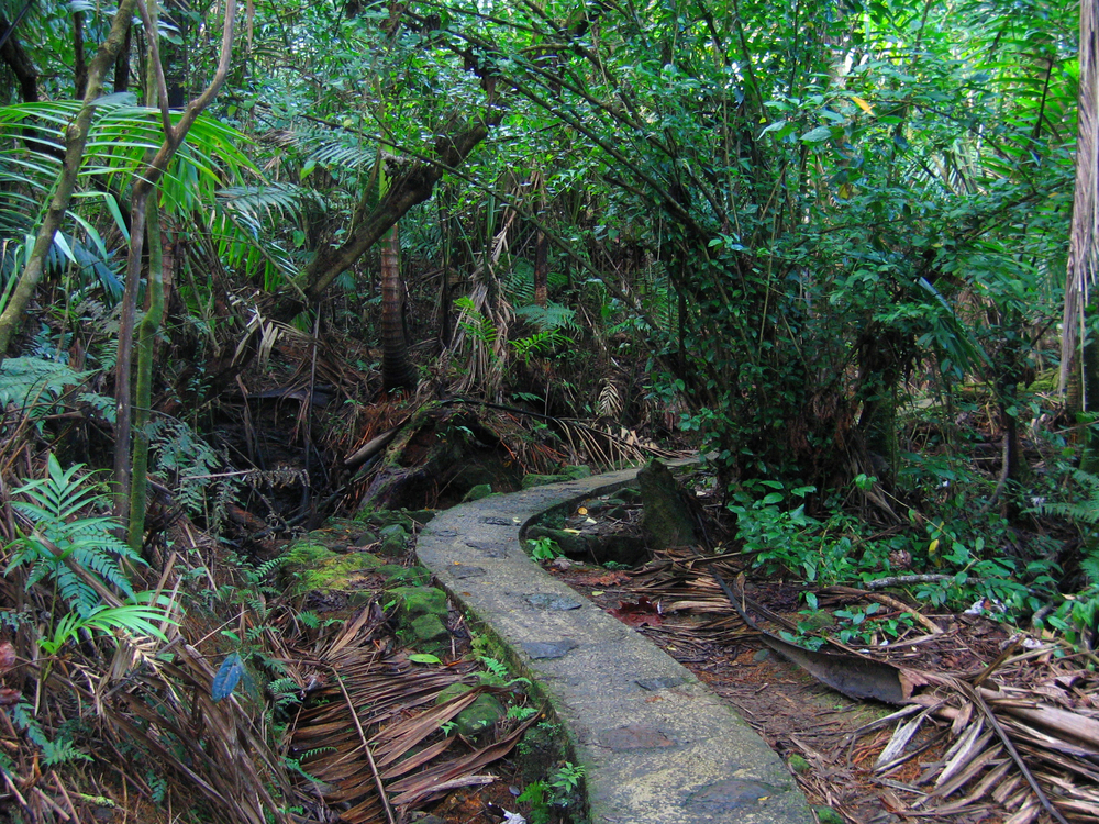 Caribbean Getaway: Planning a Picturesque Puerto Rico Honeymoon 5 How To Honeymoon