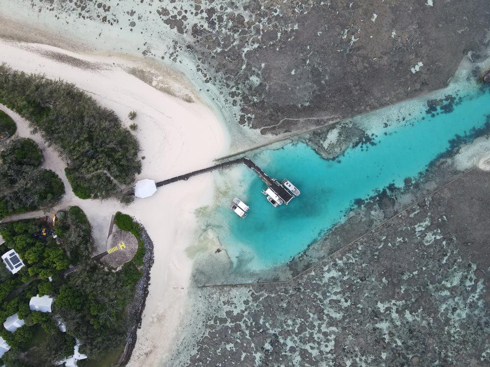 The Greatest Great Barrier Reef Honeymoon Guide 9 How To Honeymoon