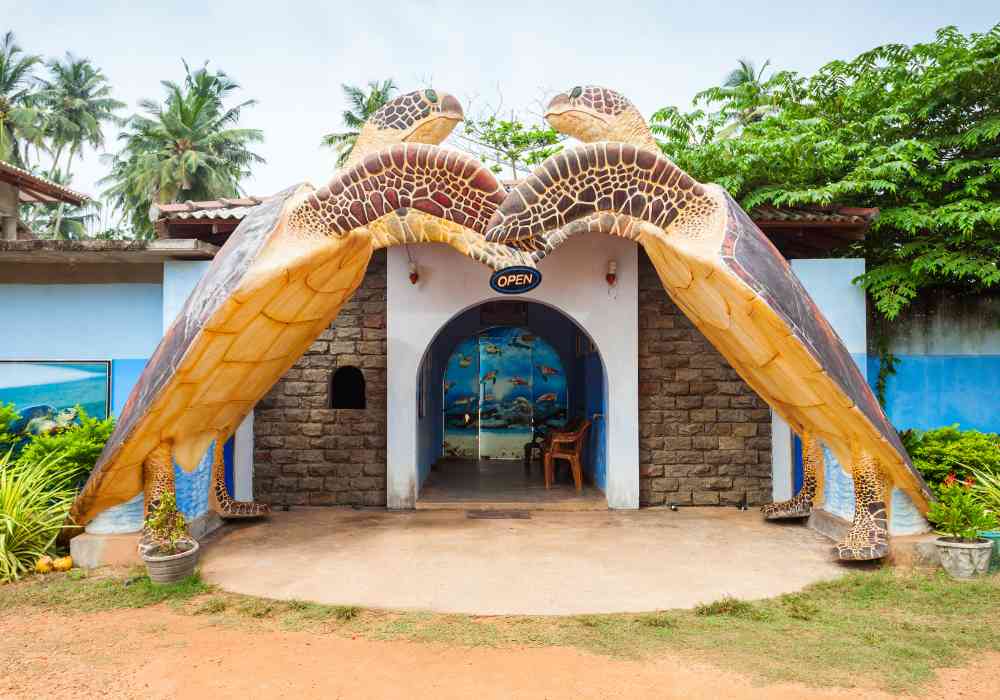 Comprehensive Guide to Planning a Sensational Honeymoon in Sri Lanka 8 How To Honeymoon