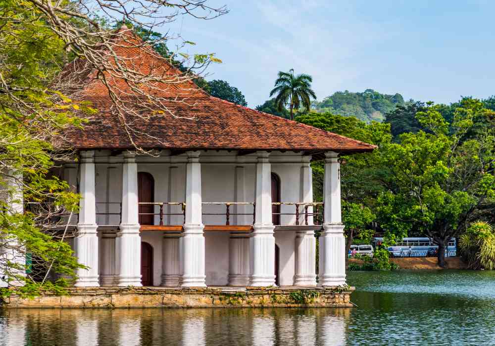 Comprehensive Guide to Planning a Sensational Honeymoon in Sri Lanka 5 How To Honeymoon