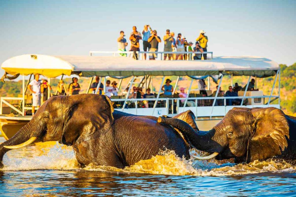 In-Depth Botswana Honeymoon Guide 7 How To Honeymoon