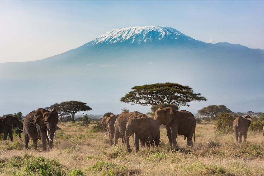 Summertime Getaway: 10 Best Honeymoon Destinations in July 6 How To Honeymoon