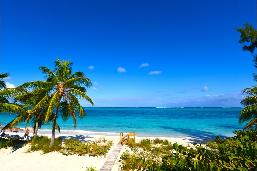 Aruba vs Turks and Caicos Honeymoon: Which Is Right For You? 3 How To Honeymoon