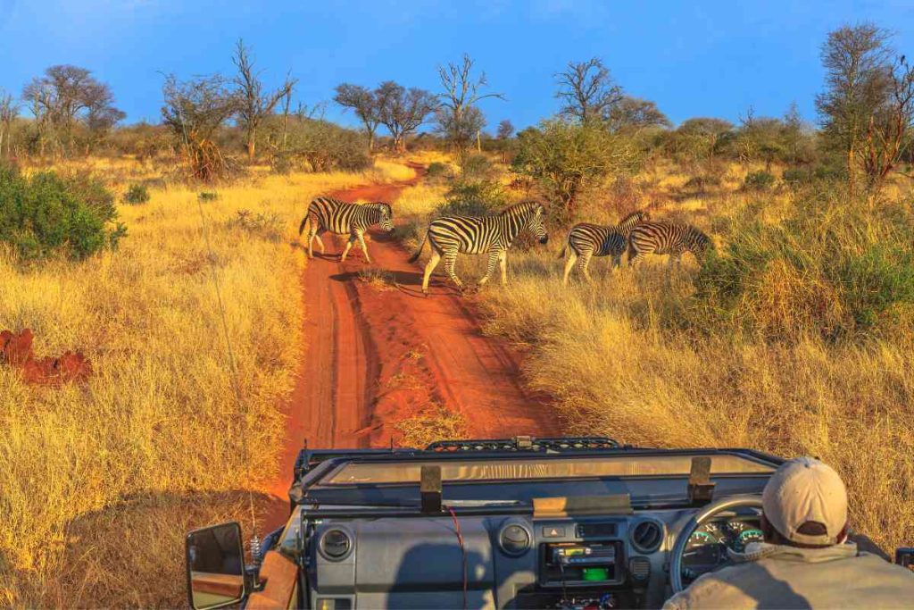 In-Depth Botswana Honeymoon Guide 3 How To Honeymoon